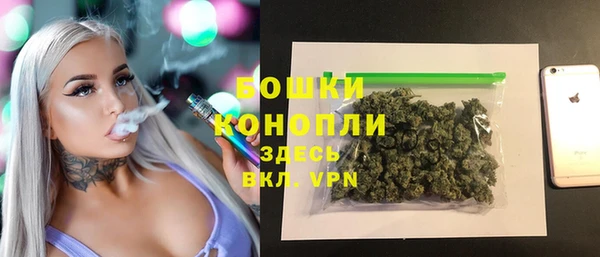 тгк Лиски