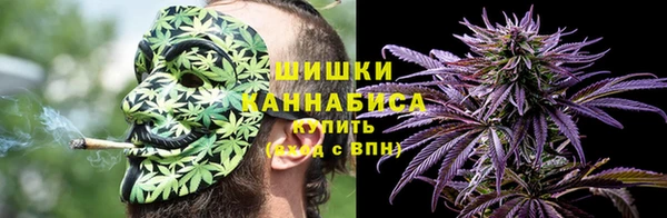 тгк Лиски