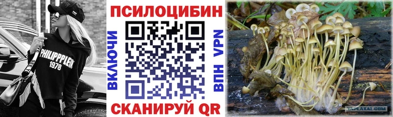 Псилоцибиновые грибы Magic Shrooms Тейково