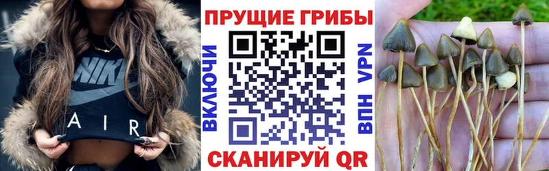 Псилоцибиновые грибы MAGIC MUSHROOMS  дарнет шоп  ОМГ ОМГ ссылки  Тейково 