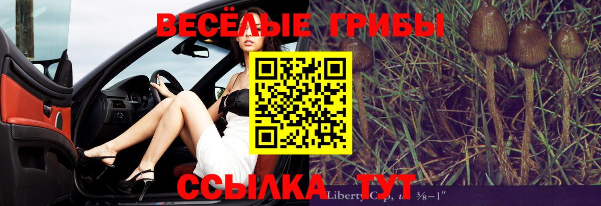 Псилоцибиновые грибы Psilocybine cubensis Тейково