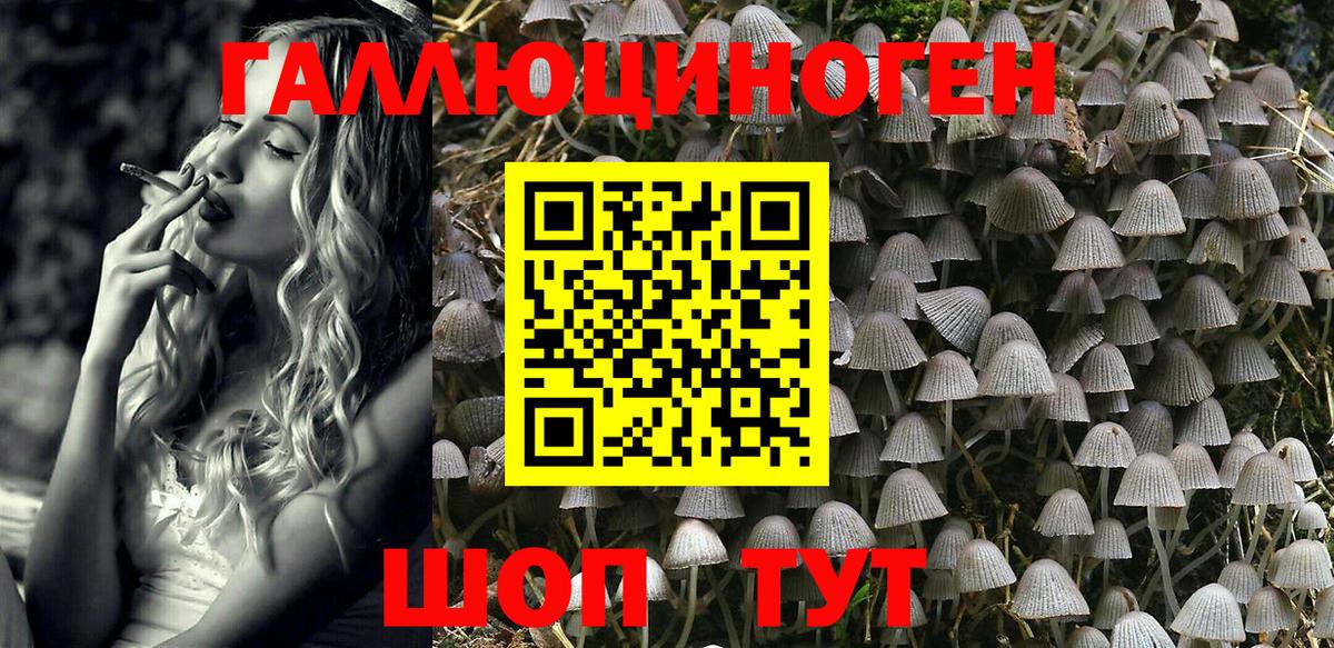 Псилоцибиновые грибы GOLDEN TEACHER  Тейково 